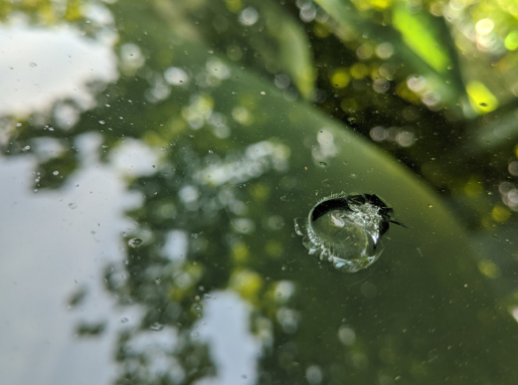 close up of a chip in a car window