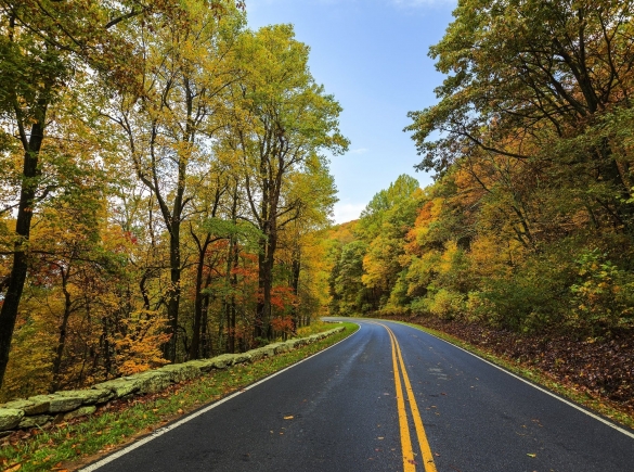 close up of yellow lines on a curving road